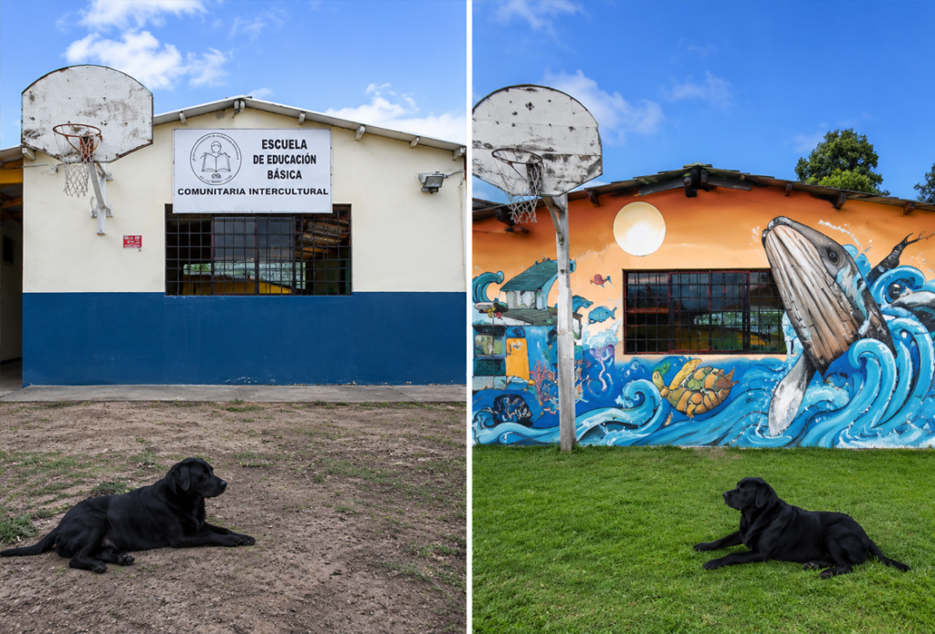 Conciencia del amor proyecto
